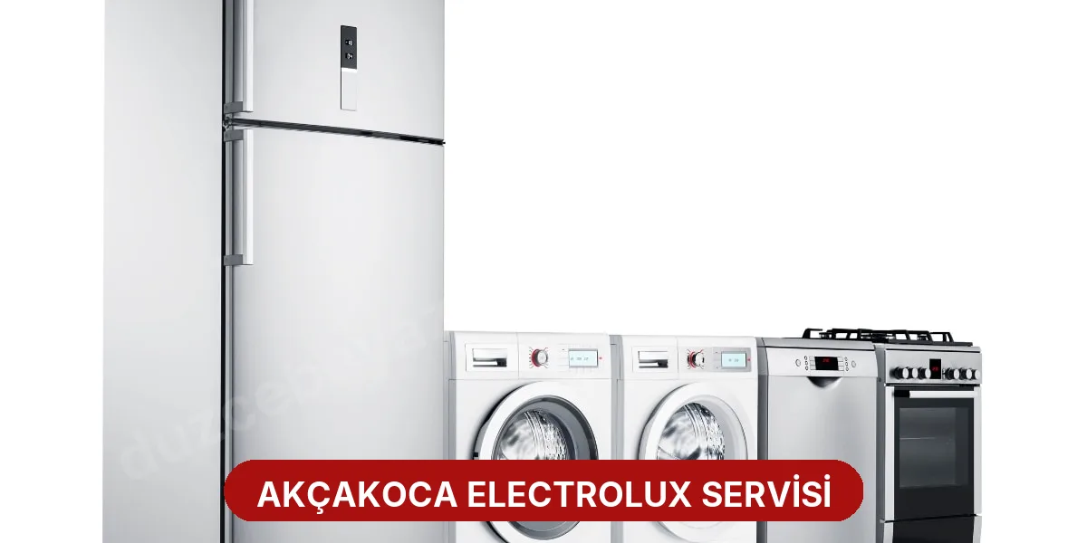 Akçakoca Electrolux Servisi