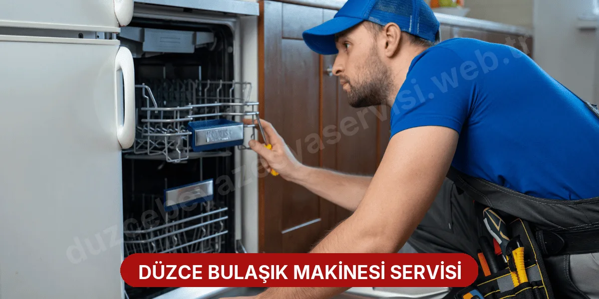 Düzce Bulaşık Makinesi Servisi