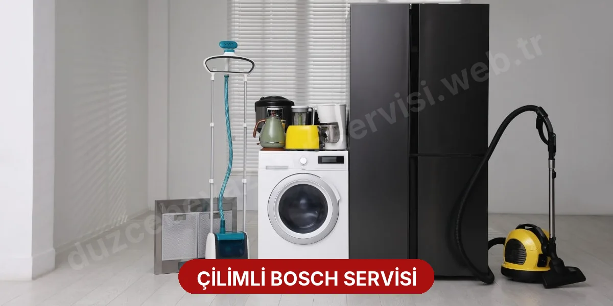 Çilimli Bosch Servisi