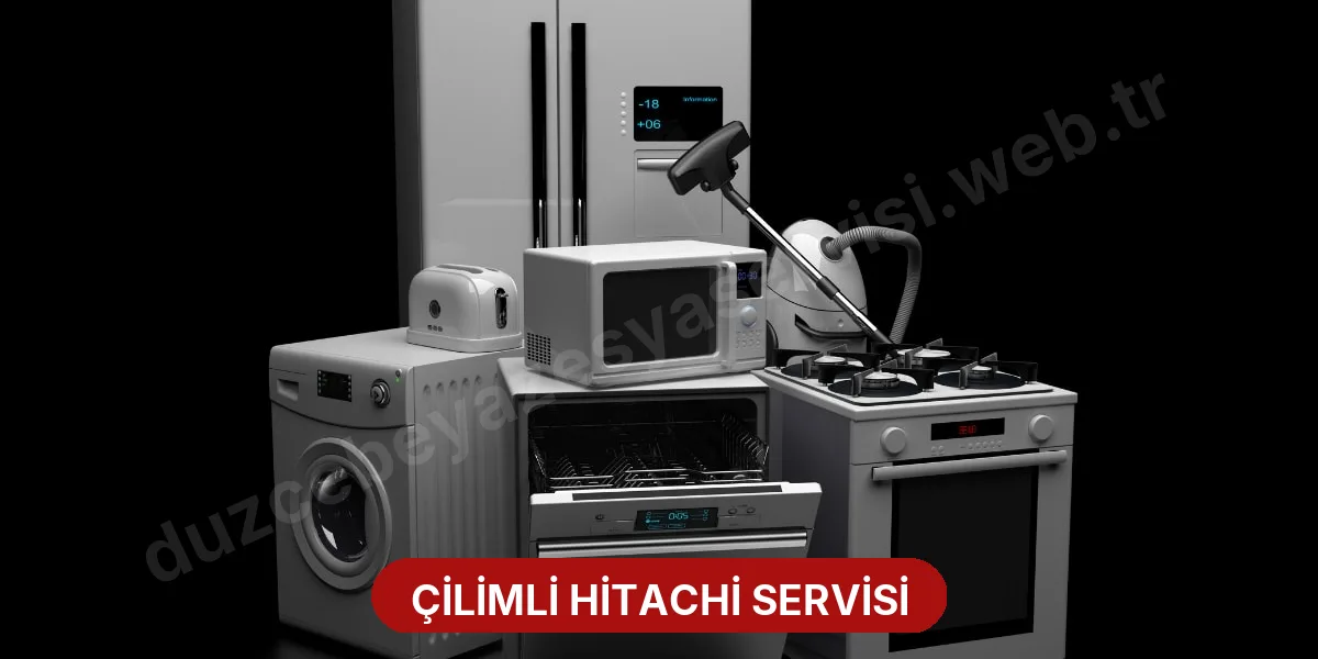 Çilimli Hitachi Servisi