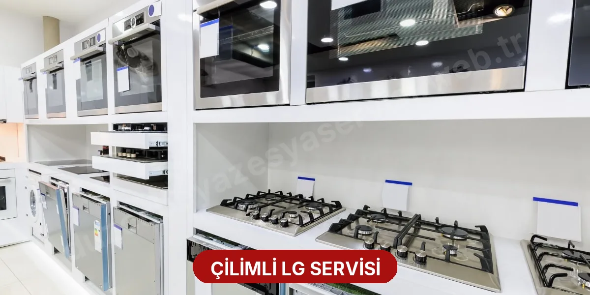 Çilimli LG Servisi