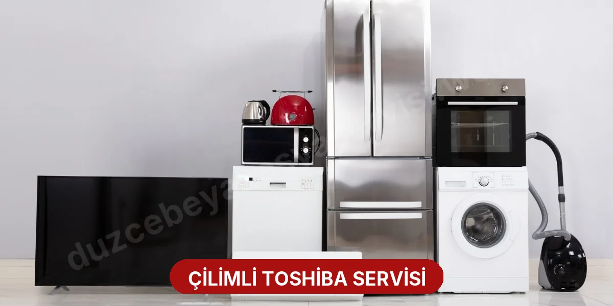 Çilimli Toshiba Servisi