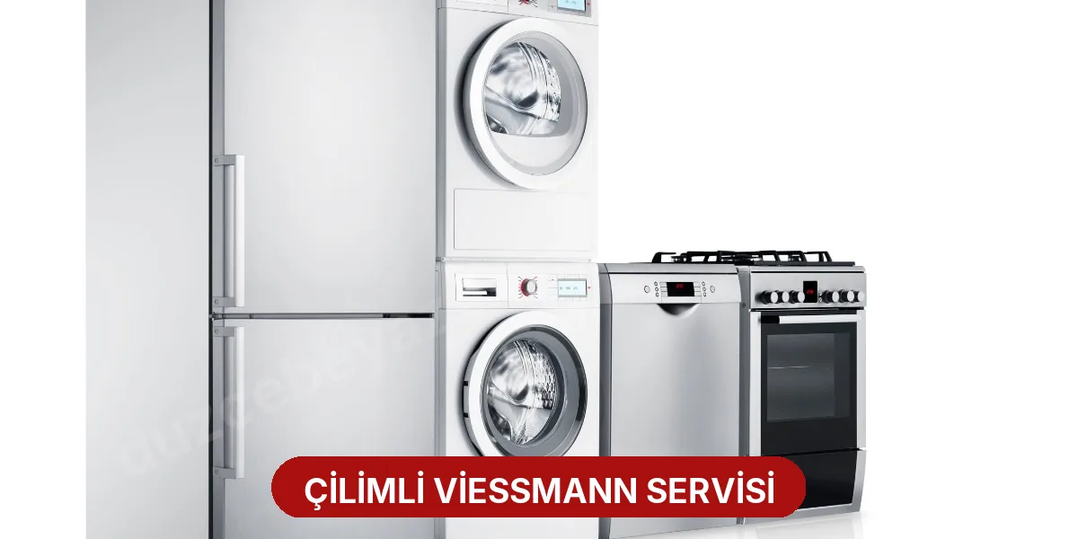 Çilimli Viessmann Servisi