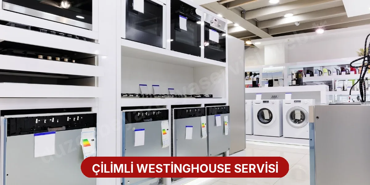 Çilimli Westinghouse Servisi