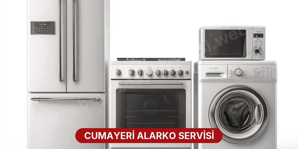 Cumayeri Alarko Servisi