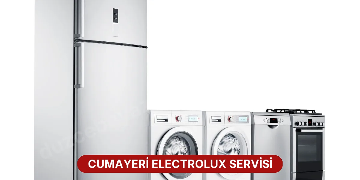 Cumayeri Electrolux Servisi
