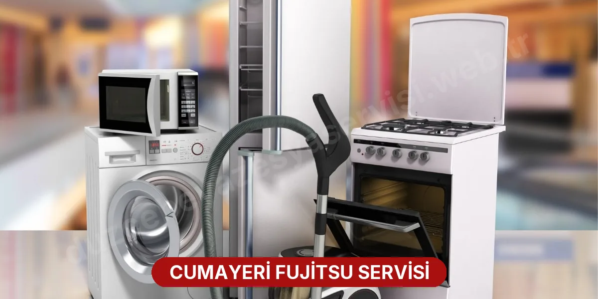 Cumayeri Fujitsu Servisi