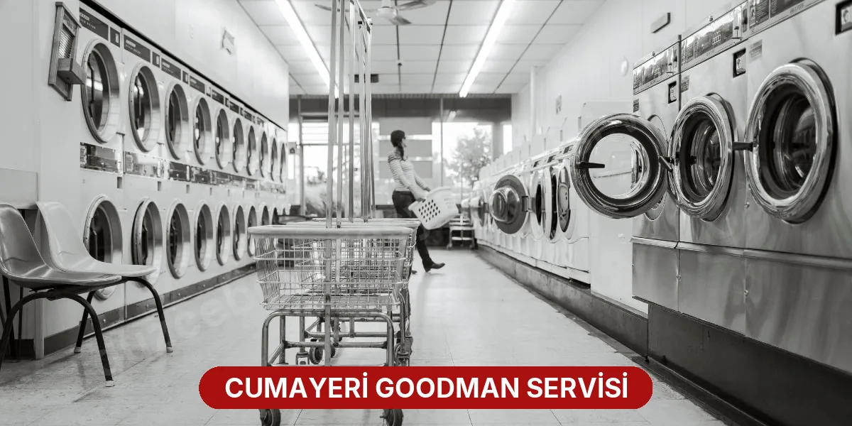 Cumayeri Goodman Servisi