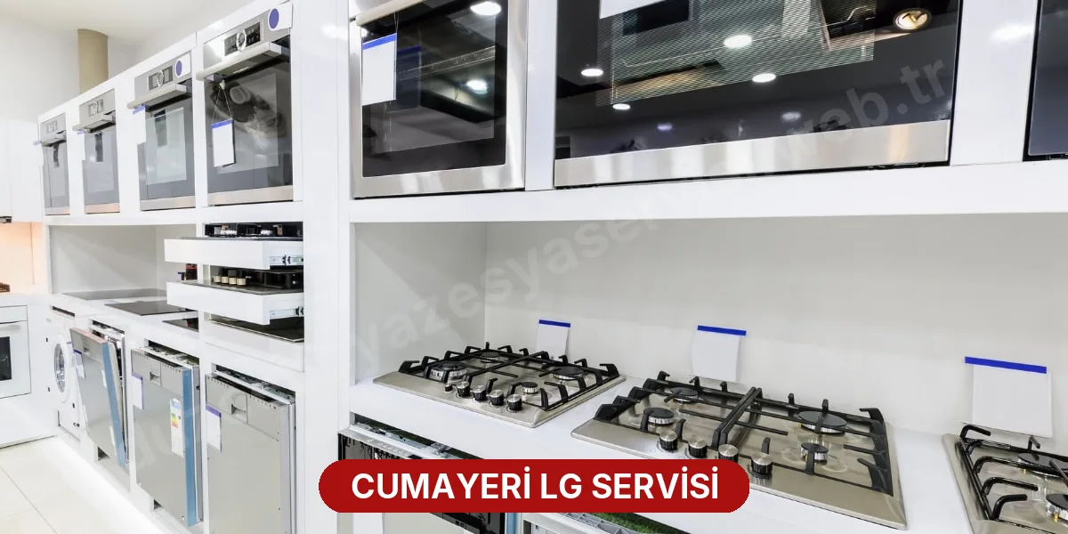 Cumayeri LG Servisi