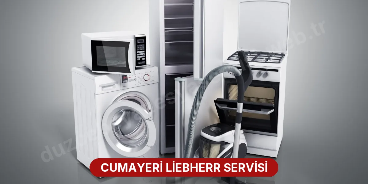 Cumayeri Liebherr Servisi