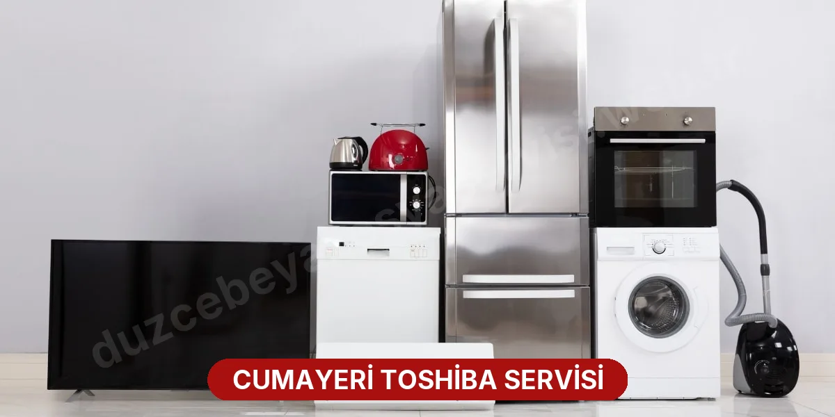 Cumayeri Toshiba Servisi