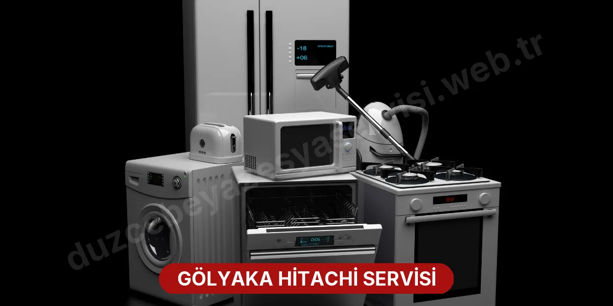 Gölyaka Hitachi Servisi