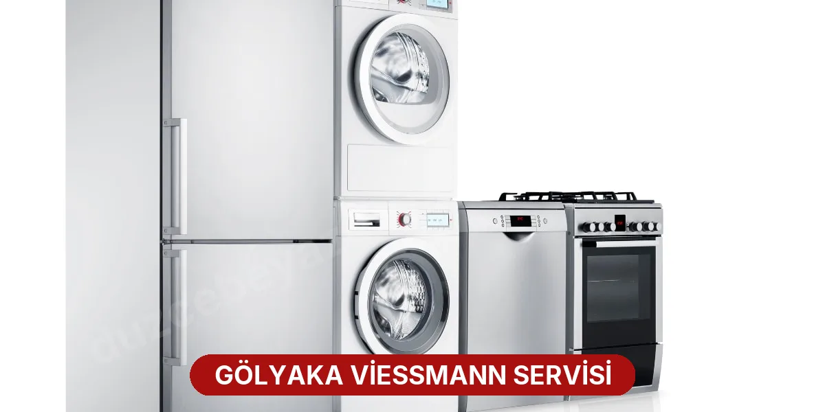Gölyaka Viessmann Servisi