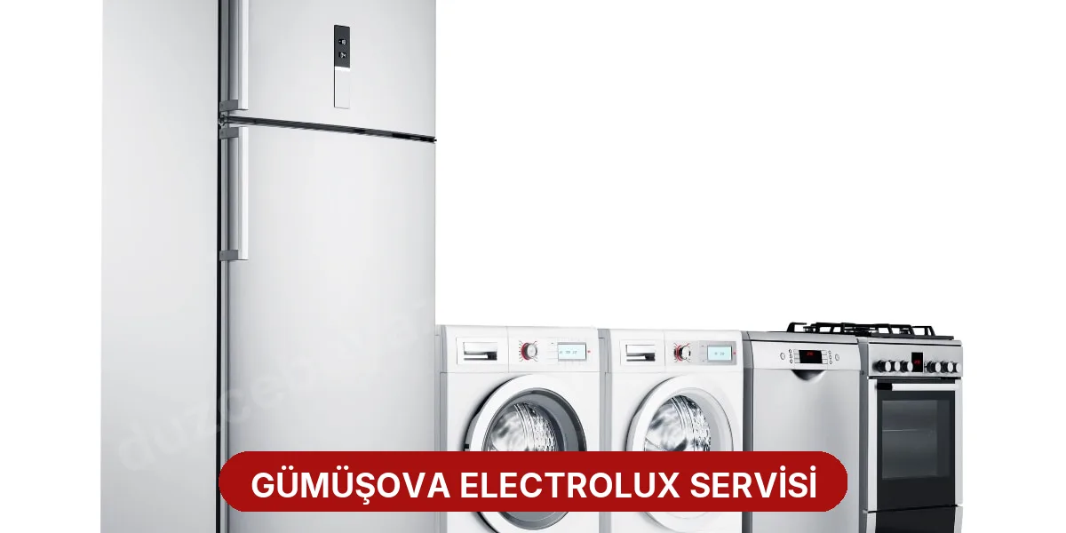 Gümüşova Electrolux Servisi