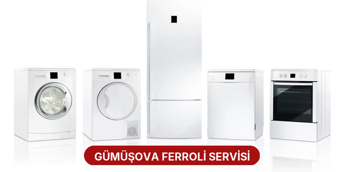 Gümüşova Ferroli Servisi