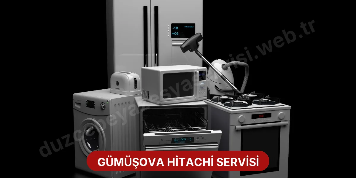 Gümüşova Hitachi Servisi