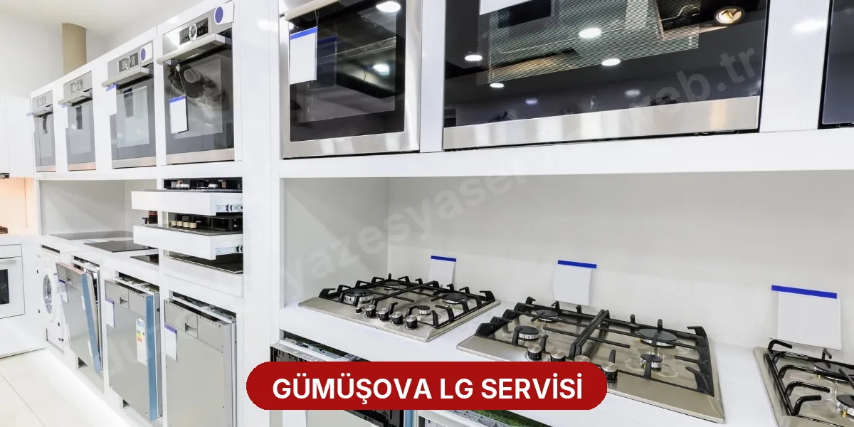 Gümüşova LG Servisi