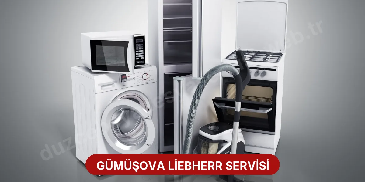 Gümüşova Liebherr Servisi
