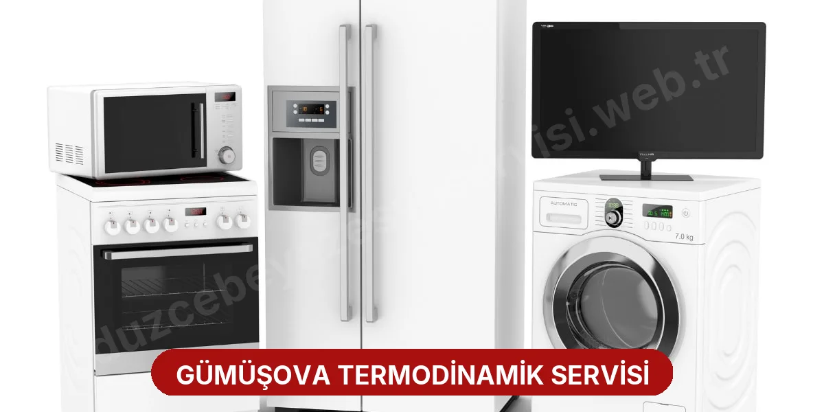 Gümüşova Termodinamik Servisi