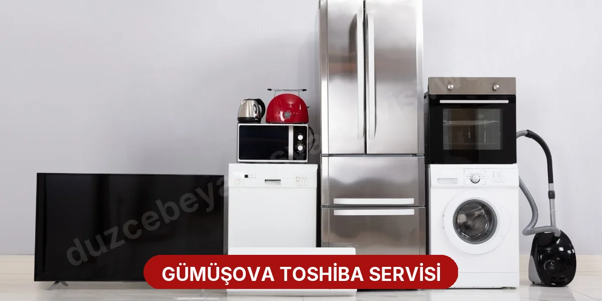 Gümüşova Toshiba Servisi