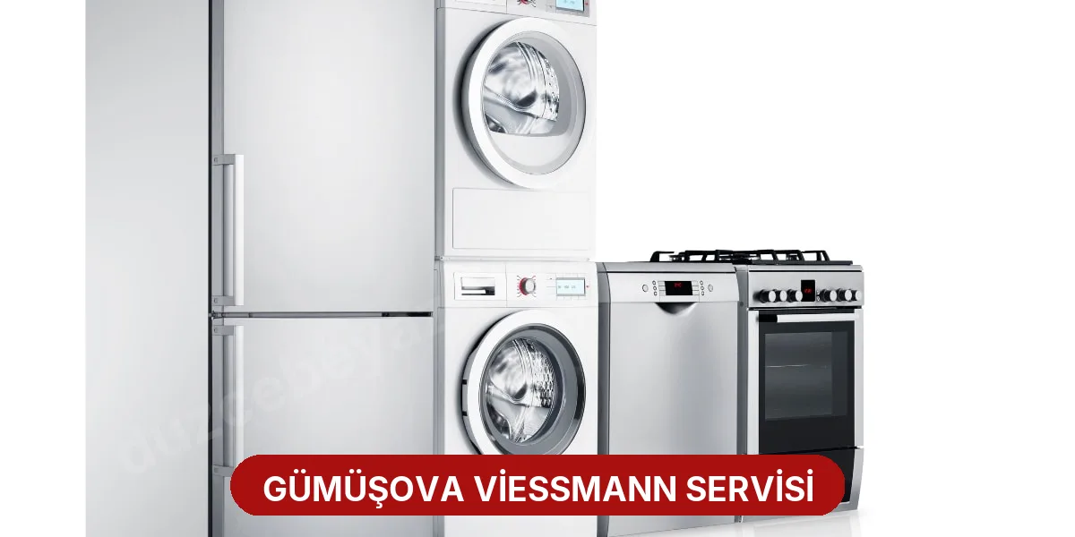Gümüşova Viessmann Servisi