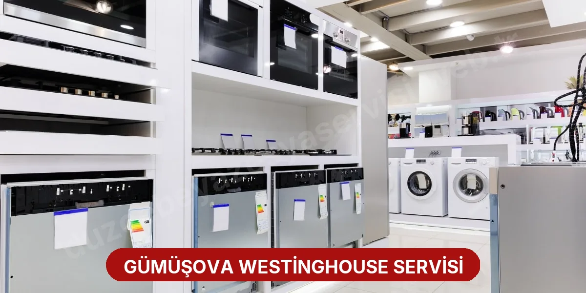 Gümüşova Westinghouse Servisi