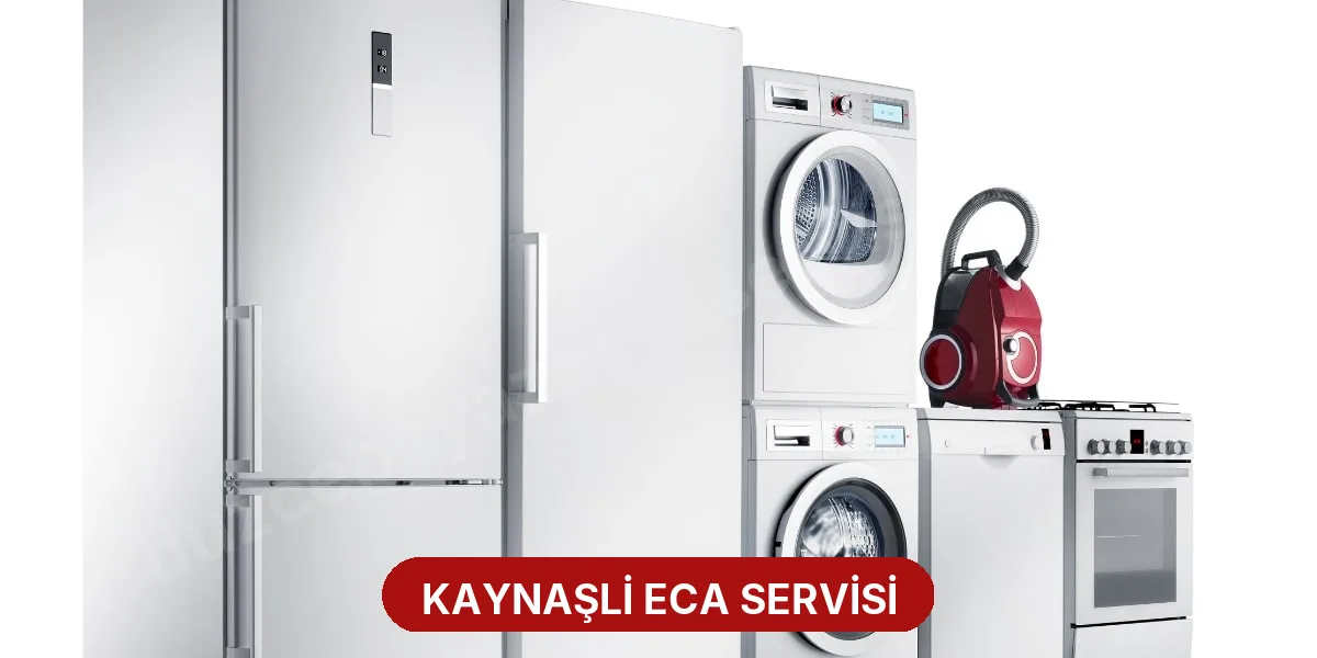 Kaynaşli ECA Servisi