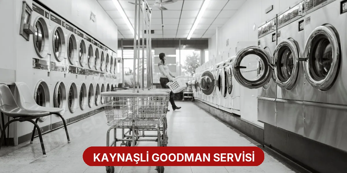 Kaynaşli Goodman Servisi