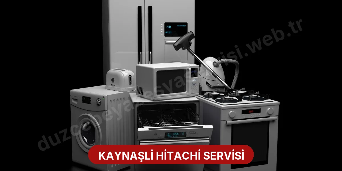Kaynaşli Hitachi Servisi