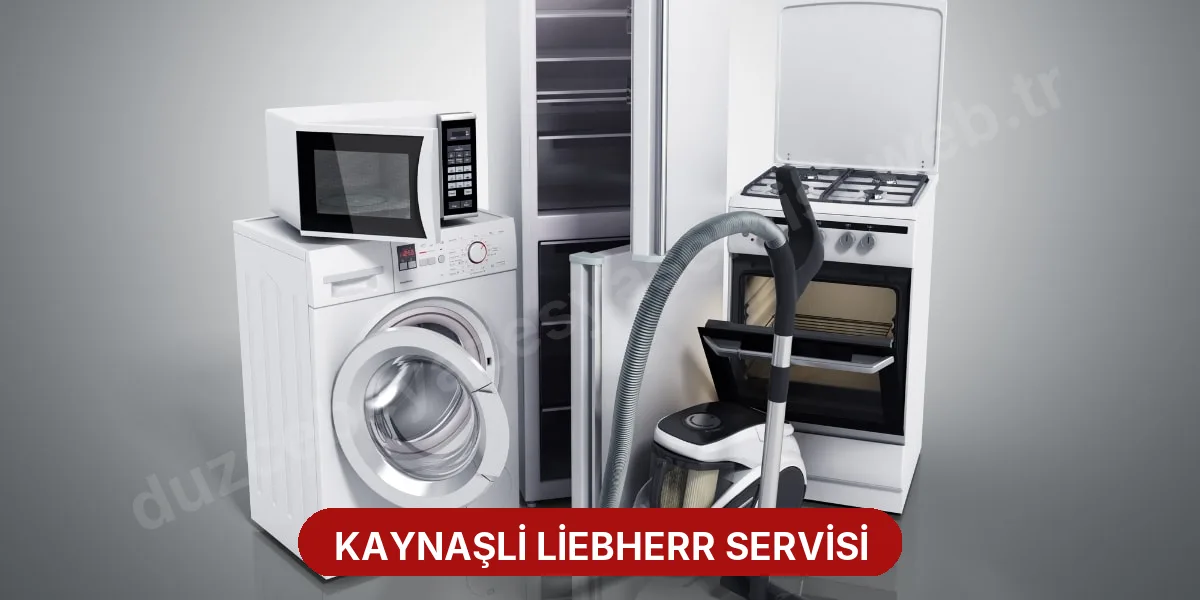 Kaynaşli Liebherr Servisi