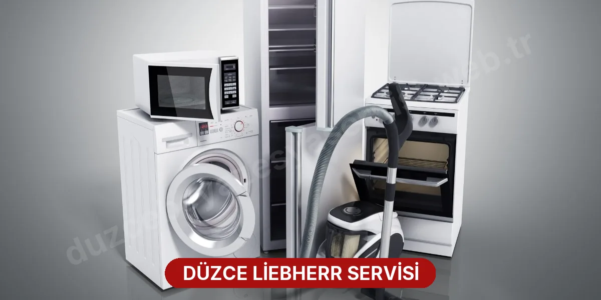 Düzce Liebherr Servisi