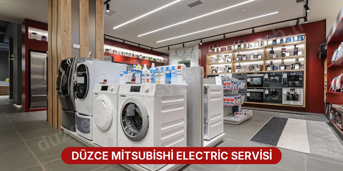Düzce Mitsubishi Electric Servisi