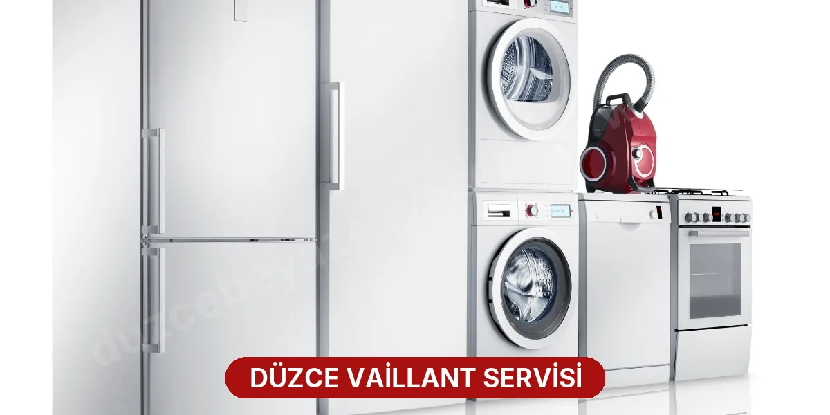 Düzce Vaillant Servisi