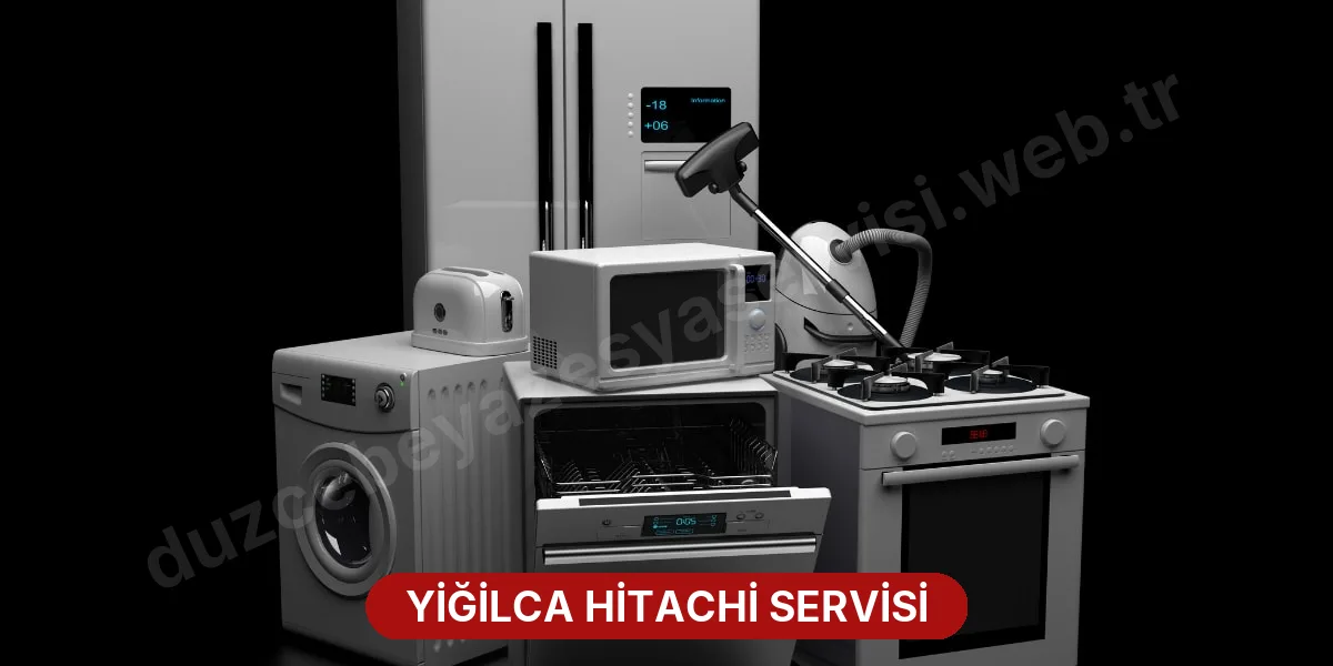 Yiğilca Hitachi Servisi