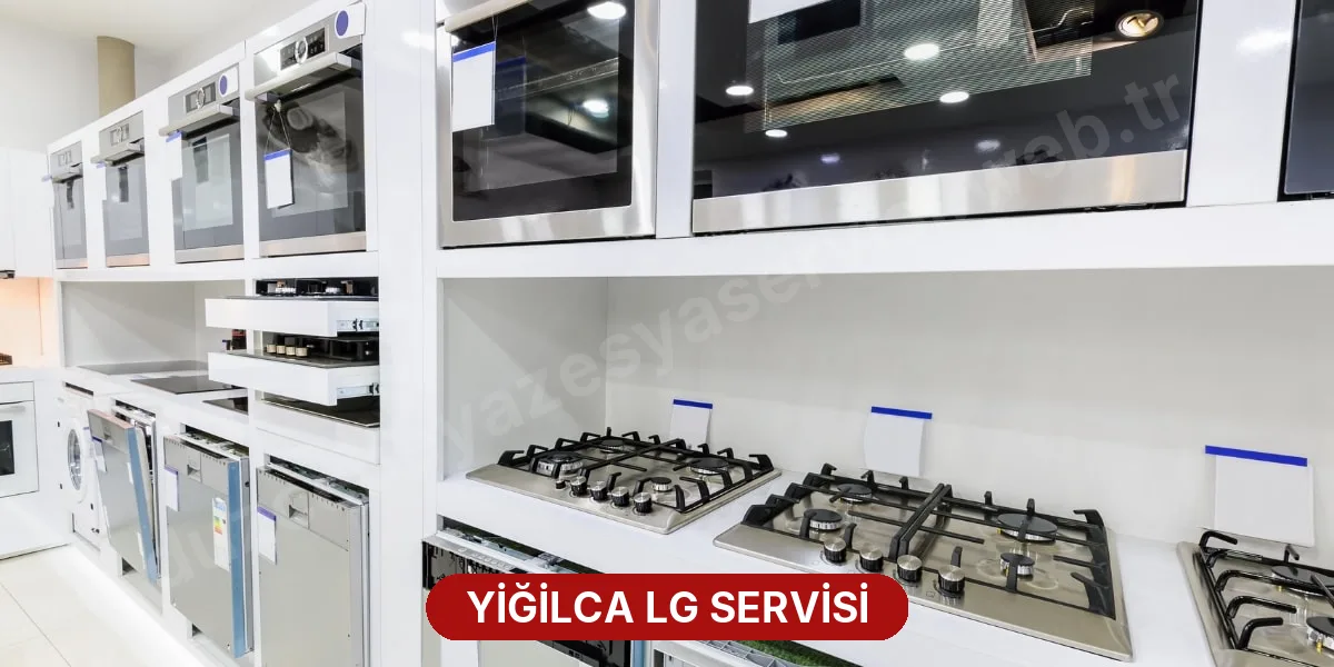 Yiğilca LG Servisi